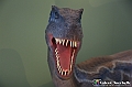 VBS_0886 - Dinosauri. Terra dei giganti